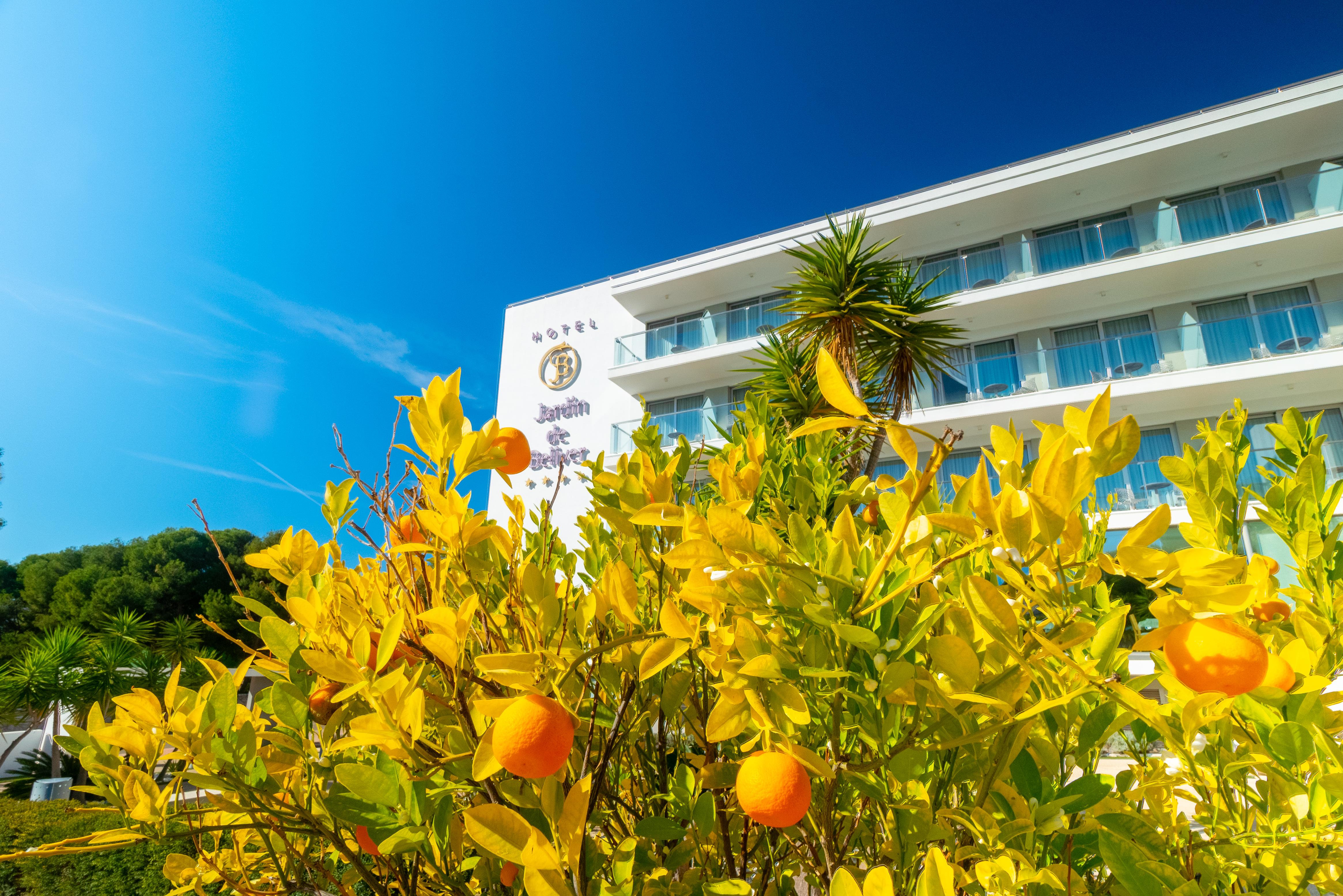 Hotel Jardin De Bellver Oropesa del Mar Luaran gambar